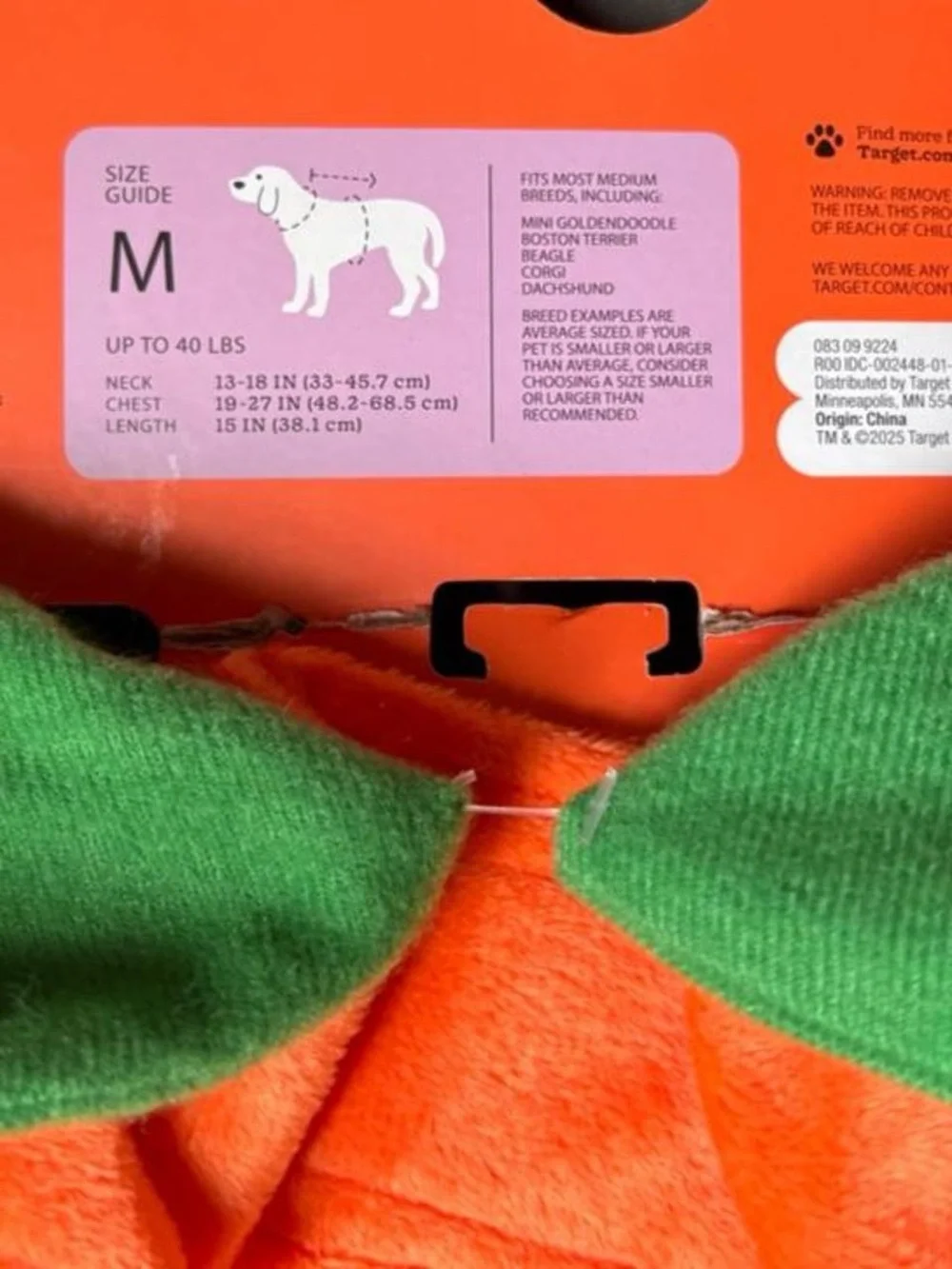 Target Boots & Barkley Orange Pumpkin Pet Costume with Green Collar